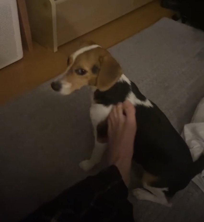 หญิงโกรธคุณพ่อค่ะ คุณพ่อขี้บ่น หญิงเมินค่ะหญิงไม่แคร์ ว่าแต่คุณพ่อใช้เท้ากับหญิงทำไมคะ ระวังพรมของคุณพ่อไว้ดีดีค่ะหญิงเตือนแล้วนะคะ