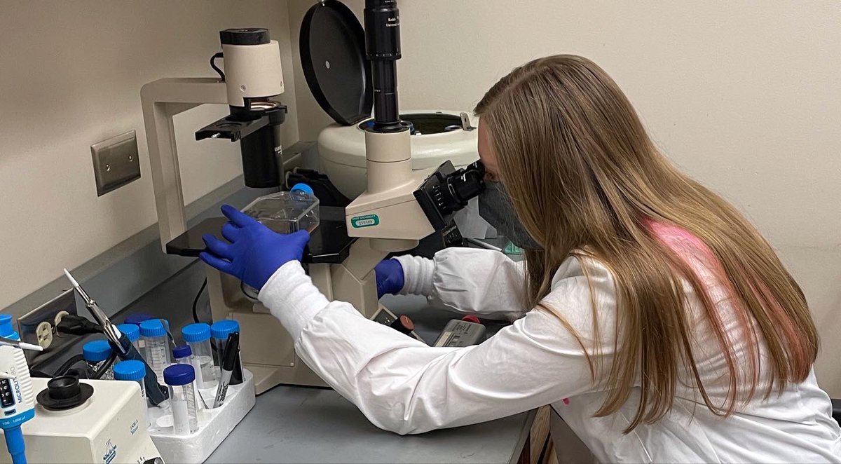 #OUVirtualExpo @EBI_OU <a href="/Bobcatsdiscover/">BobcatsDiscover</a> <a href="/OUHTC/">Ohio University Honors Tutorial College</a> <a href="/OUHCOM/">Heritage College</a> <a href="/AldenLibrary/">OhioULibraries</a>  <a href="/OhioBioSciences/">OU Biological Sciences</a> 
Cancer cells are addicted to glucose to fuel their enhanced growth and metabolism. DRB18 is a drug that prevents the uptake of glucose and has potential to improve lives of cancer patients 🧬