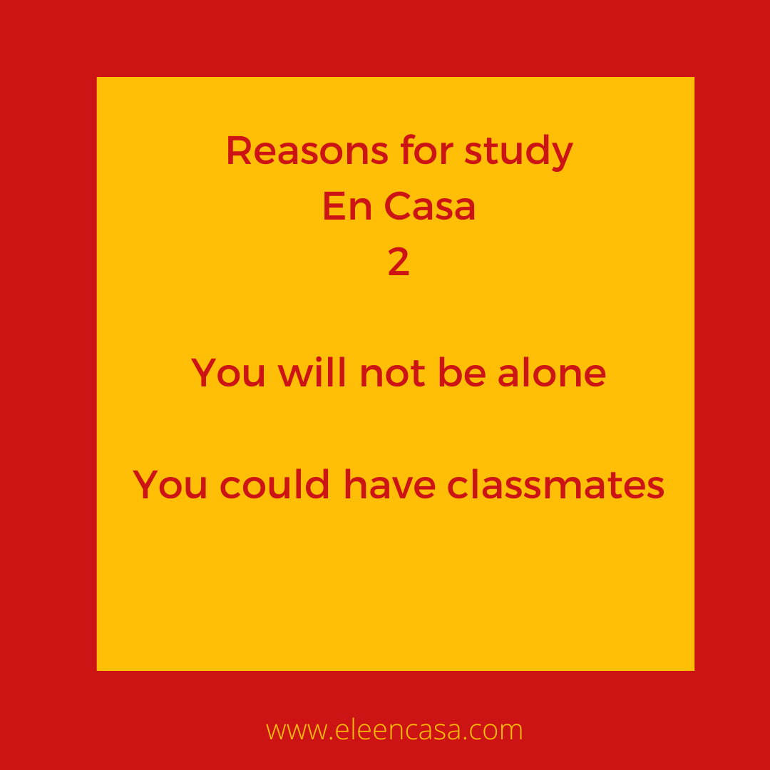 EleenCasa's tweet photo. Check our website for starting dates https://t.co/rsd3jdZ1zp