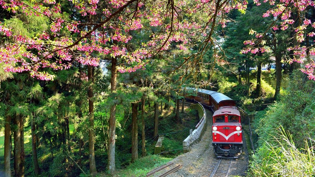 LabxSocial's tweet image. &quot;You don&apos;t have to be great to start, but you have to start to be great.&quot; - Zig Ziglar✨

#thursdaymorning #Taiwan #thursdayvibes