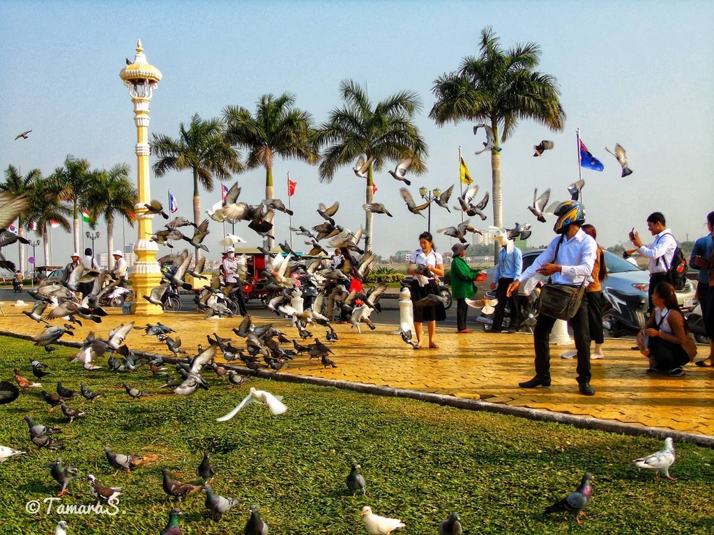 Lungo i viali di Phnom Penh..

#cambodia #cambogia #phnompenh #city #cityview #street #streetphotography #streetstyle #citybestpics #streetphotography #citylife #cityscape #street_vision #streetphotographyinternational #turistipercaso #kilimangiarorai #n… instagr.am/p/CNaalphFdjv/