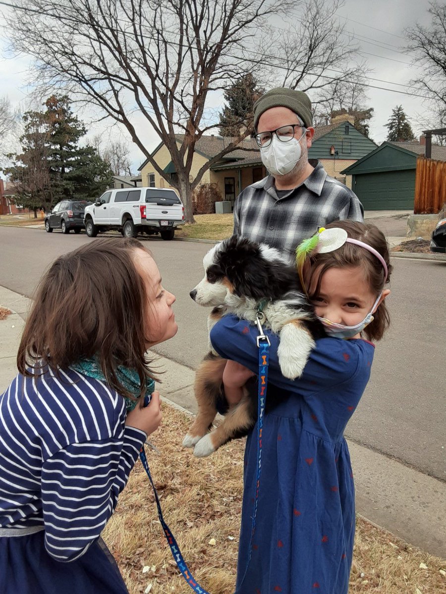 yellowmarmot's tweet photo. Keep our canine friends safe! Please urge the EPA to #RecallSerestoCollars http:/bit.ly/RecallSerestoCollars https://t.co/Z3U4OGHW4o