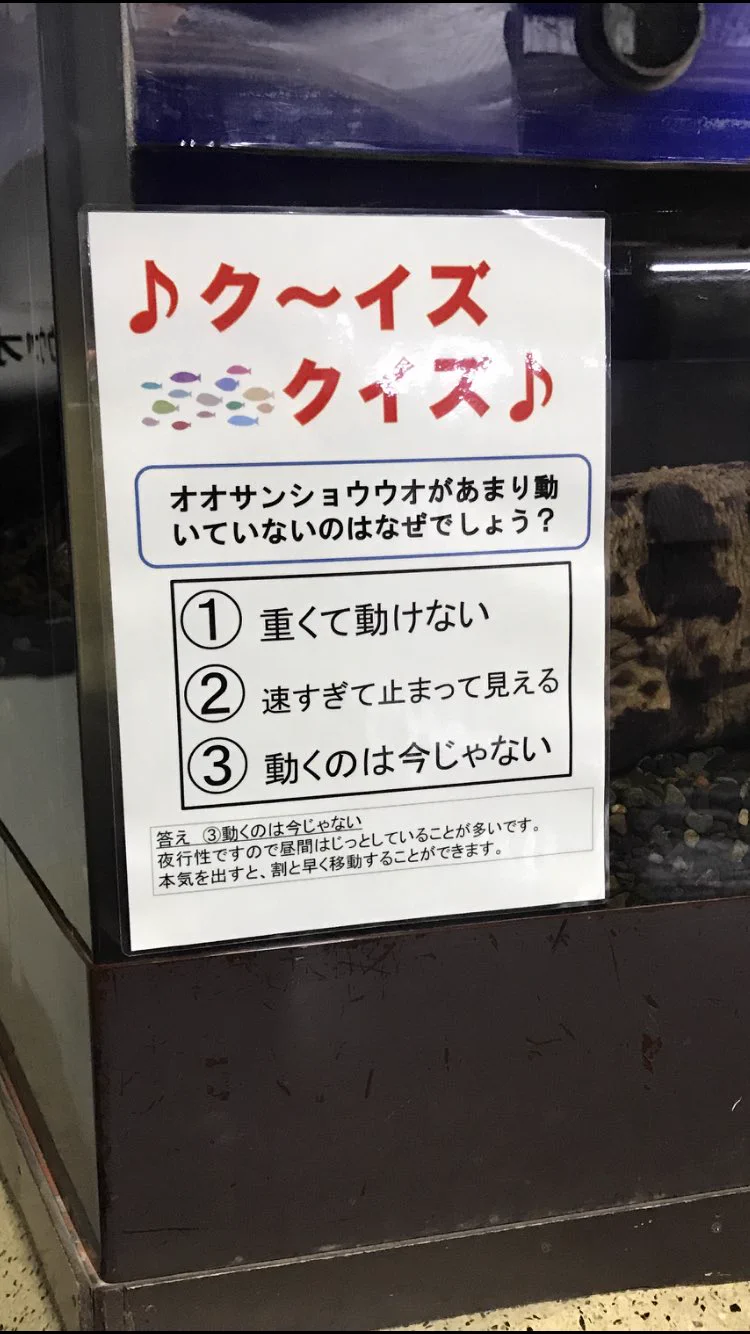 @Kawasemi8159 貼り紙の感じ見ておたる水族館だとすぐにわかりました！！ 