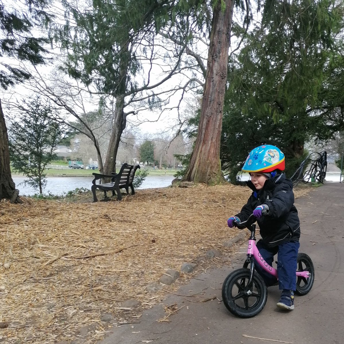 __marina__'s tweet photo. I wanted to drive to nursery, but this pair insisted on cycling there instead - it's only rain, Mummy! 3yo and 5yo putting me to shame! #outdoor #inverness https://t.co/NIFawLkyML