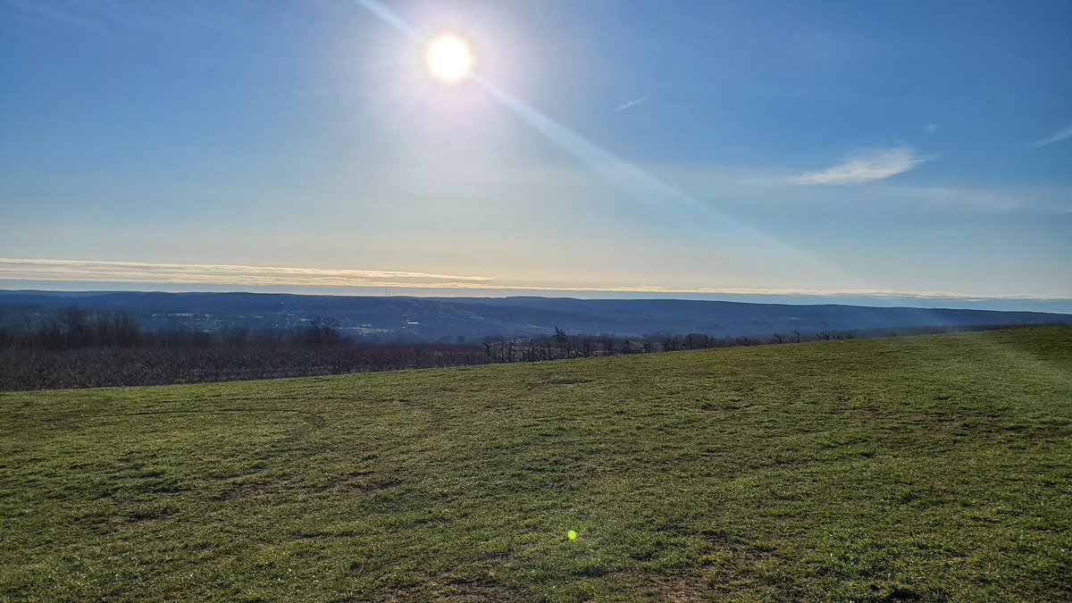 MagicallyMJ's tweet image. What a beautiful morning my friend! You are special and you are capable of amazing things. The only person you are destined to become is the person you decide to be. I hope you have a magical day
💙🧚‍♀️💜
#magicallymj #beautifulmorning #thursdayvibes #thursdaymotivation #bethemagic