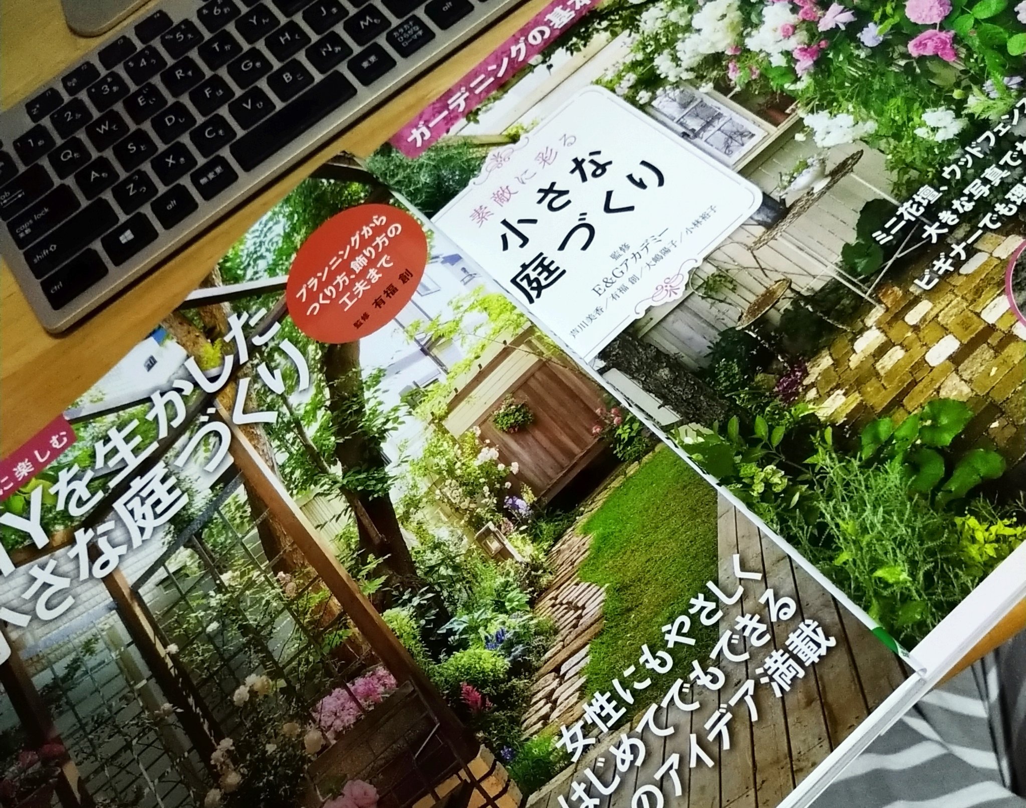 うるう 庭の本買って熟読してから気づいたけど 私が作りたいのイングリッシュガーデンじゃなくてカリフォルニアスタイル でもあんまりヤシの木やサボテンは好きじゃなくて 男前とナチュラルの中間あたり なんだけど理想的な写真がない T Co