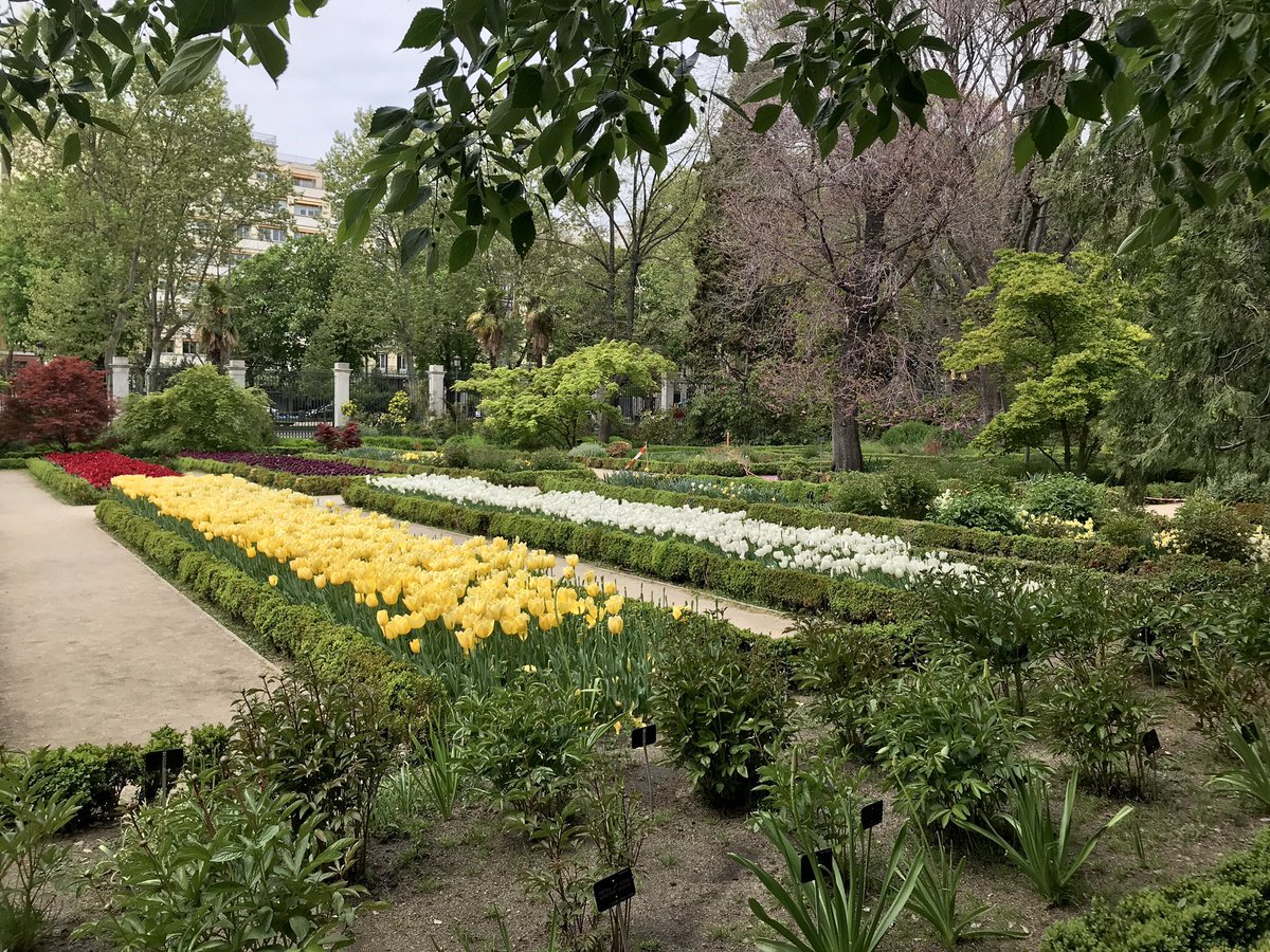 JABS64's tweet photo. La vida sin color NO es vida!
#Tulipanes en el @RJBOTANICO 🌈🌷 https://t.co/8YNhrOr4kF