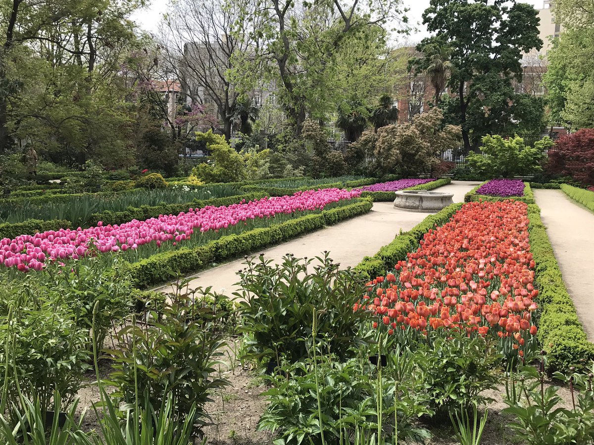 La vida sin color NO es vida!
#Tulipanes en el <a href="/RJBOTANICO/">REAL JARDÍN BOTÁNICO</a> 🌈🌷