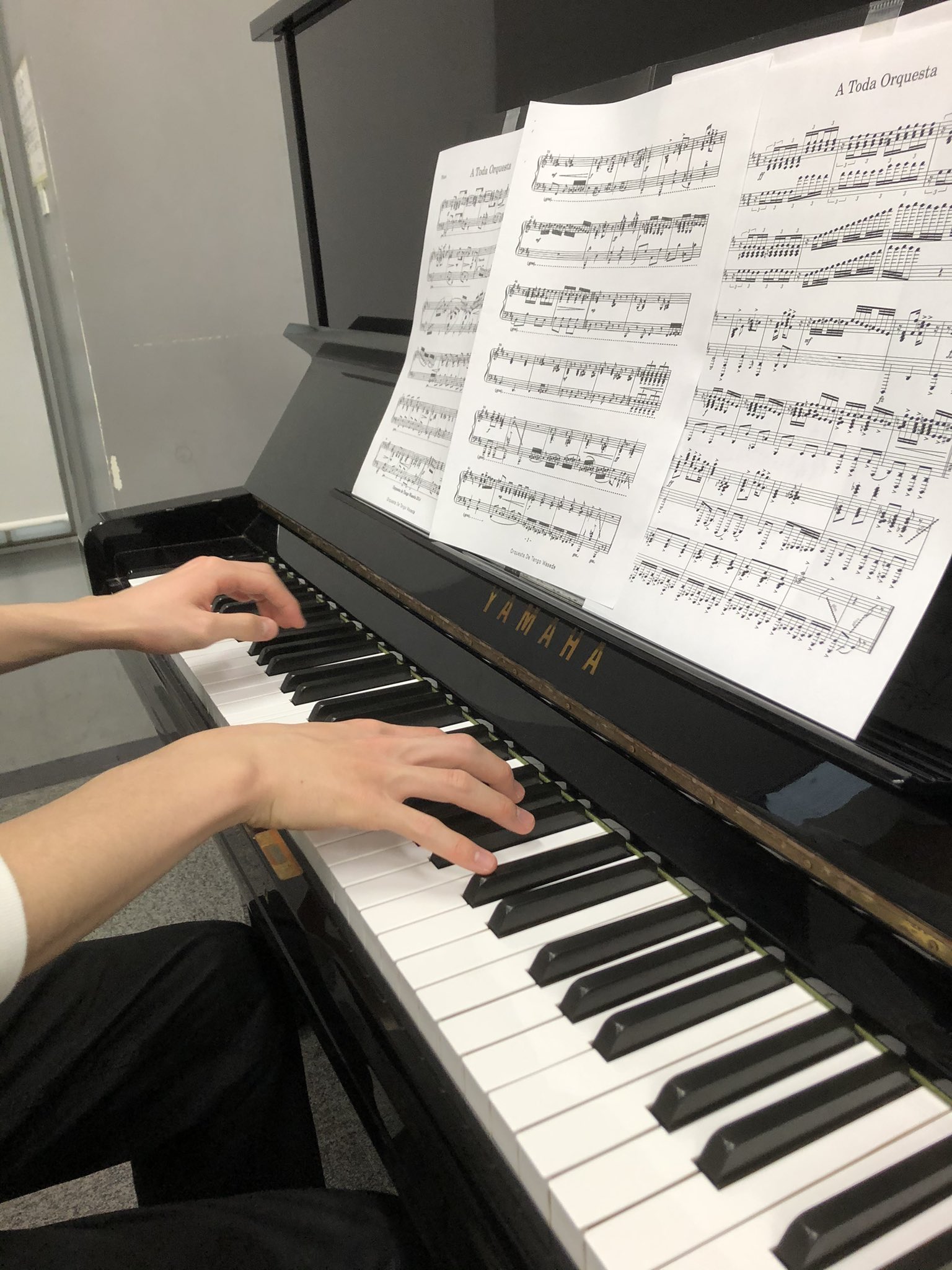 オルケスタ デ タンゴ ワセダ 楽器紹介コーナー まずはタンゴの代名詞 バンドネオン 習得が難しいことから 悪魔の作った楽器 とも言われていますが その音色の切なさと躍動感はまさに人生そのもの タンゴに魂を宿します 貴重な楽器ですが