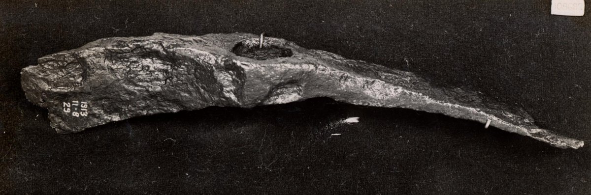 Immortalsgroup's tweet photo. Today’s #ObjectThursday is an #Achaemenid axehead. It was excavated in Deve Hüyük, near Carchemish, and is made of #iron. On one side is the axe blade, and the other side of the shaft hole the metal extends backwards into a pick. https://t.co/LDvKivx1EP