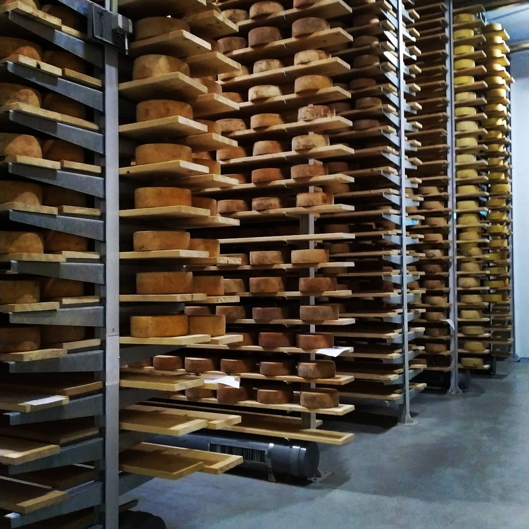 L15magic's tweet photo. Espectacular visita vip a la fabrica de @galmesano por gentileza de @cano.carmela para ver todo el proceso de elaboración del mejor 🧀 gallego...#quesogallego #madeingalicia #losenanosselopasaroncomoenanos #vacasleiteiras 🐄 #naturaleza #galiciacalidade #Bizipoz #ViveaVida https://t.co/wK4pEiWxi7