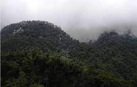 ComiteSanturban's tweet photo. Senador @AlexLopezMaya la protección integral de Páramos está en sus manos el día de hoy. 
Al incluir el bosque alto andino se garantiza su existencia y el agua del 70% de los colombianos. 
Agradecemos su apoyo ayer y esperamos que lo ratifique el día de hoy #SinBosqueNoHayPáramo https://t.co/r1UtuvaksI