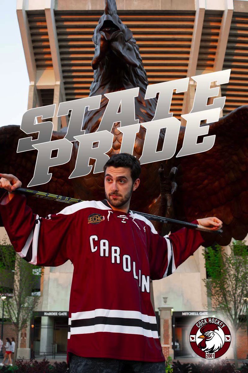 Gamecocks Hockey jerseys are on sale : r/Gamecocks