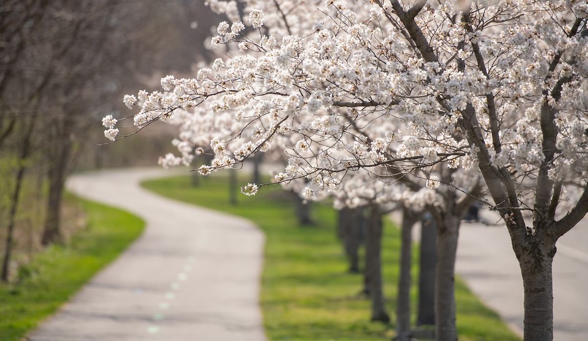 Cleveland Metroparks tweet media