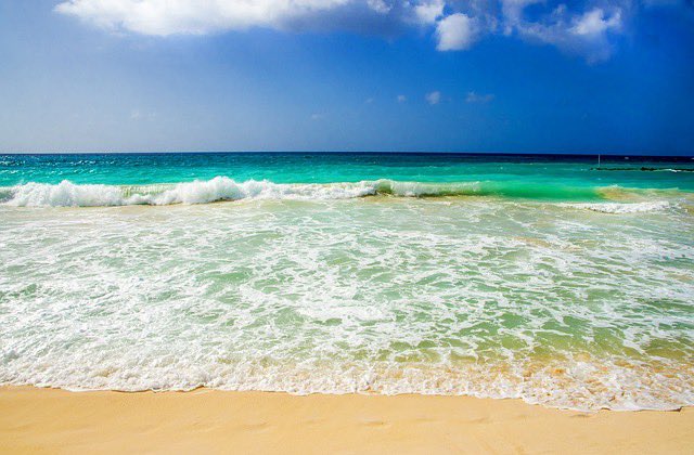 @RealSaltLife's photo on #ThursdayVibes