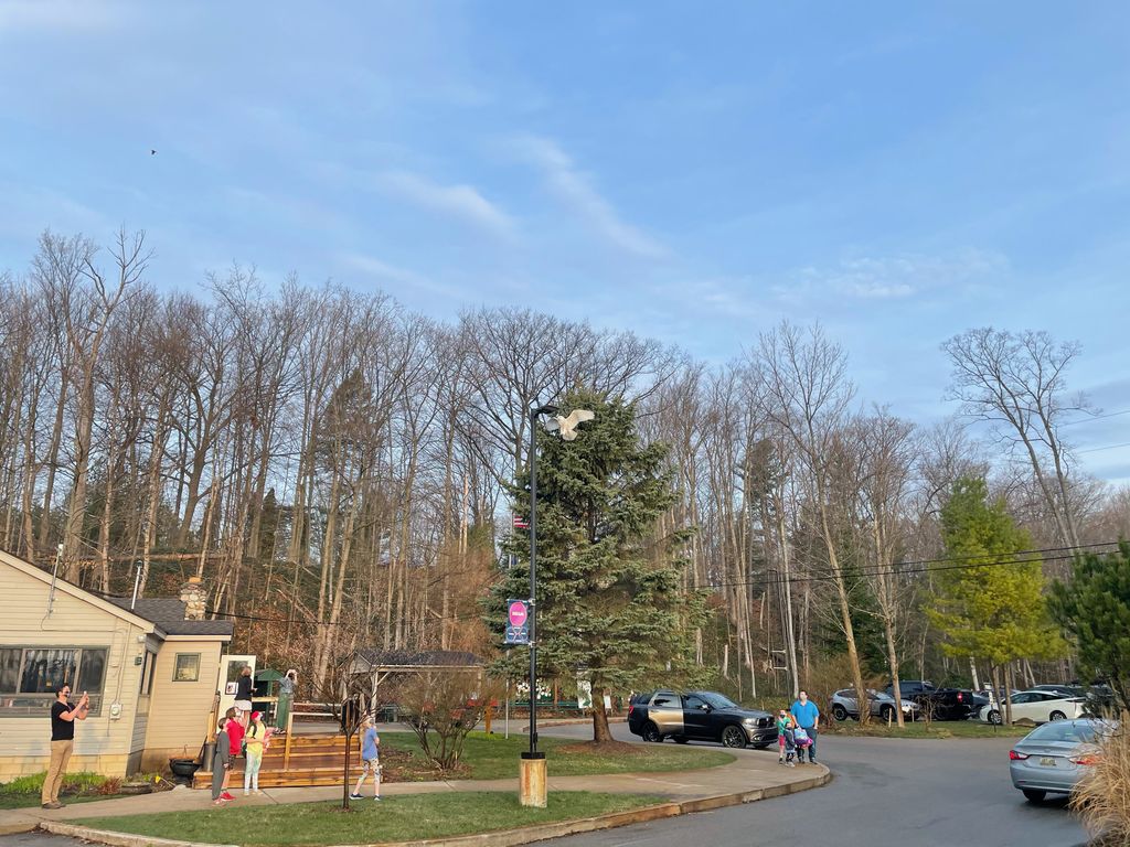 What an exciting morning at drop off with our special Snowy Owl visitor! We’re always talking about what a magical place the Pathfinder campus is, this is just more proof. 🦉✨

#whypathfinder