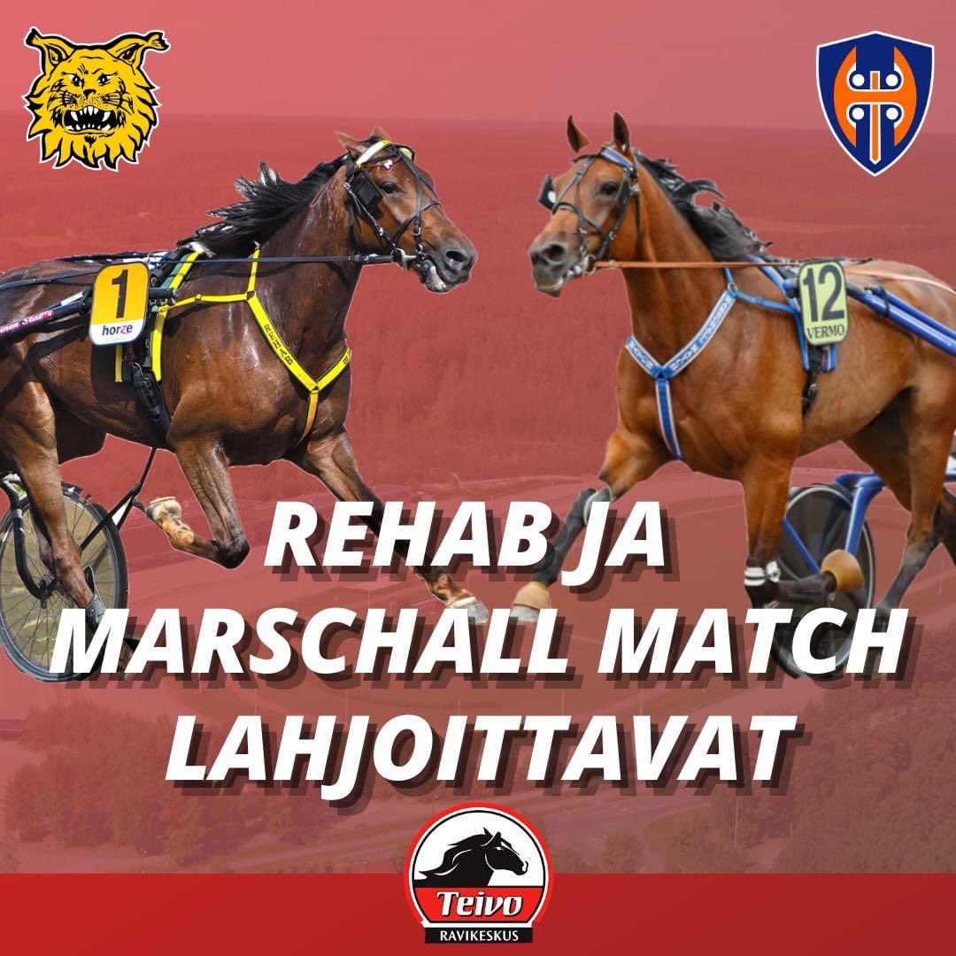 Myös Teivon liigahevoset pääsivät lahjoittamaan hyväntekeväisyyteen! 🤩 Raviliiga Tapparan Marschall Matchin hyväntekeväisyyslahjoitus oli kokonaisuudessaan yli 110 000 euroa ja Raviliiga Ilveksen Rehabin lähes 30 000 euroa! ✨

Lue lisää:
teivo.fi/raviliigan-hyv…

#ravit