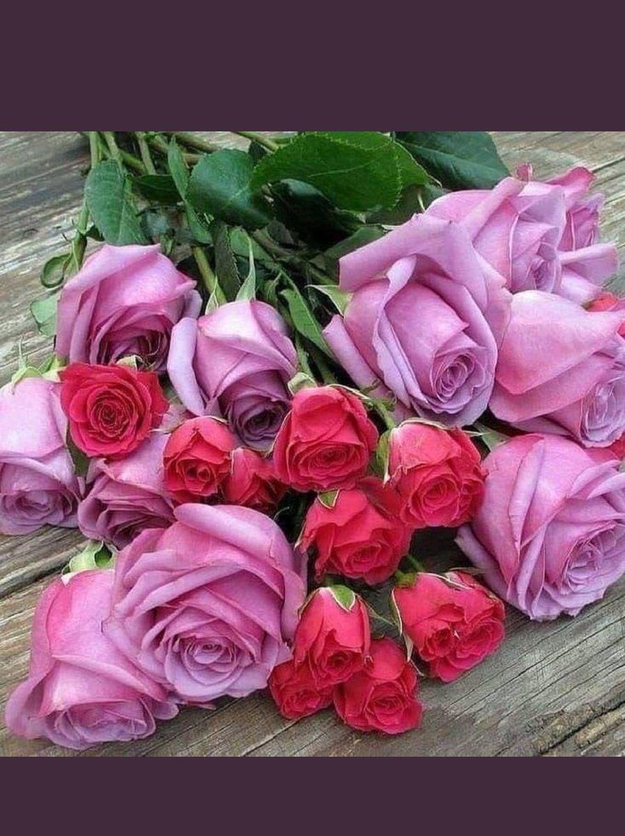 SaadaSHammri's tweet photo. @___alotaibi____ يا مساء آلخير وهبـات آلنسيــم 
ويآ مساء آلنـور ونقــوول السـلآم

 آلسعـاده رزق وآلمعطـي كــريم
آسعـد آلله قلـب من رد الســــلام https://t.co/Qd4eIdsOD3