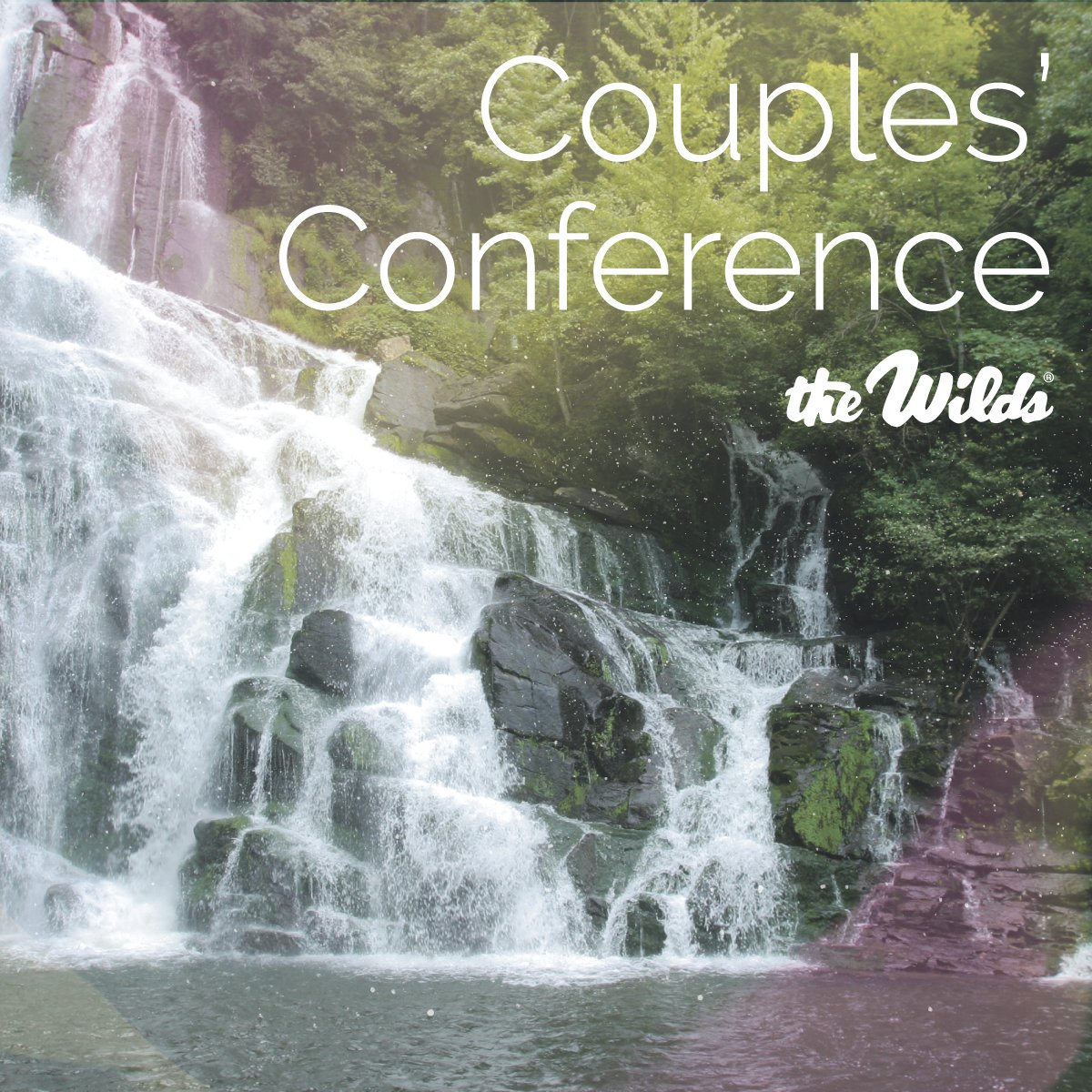 The Wilds Wildscamp Twitter