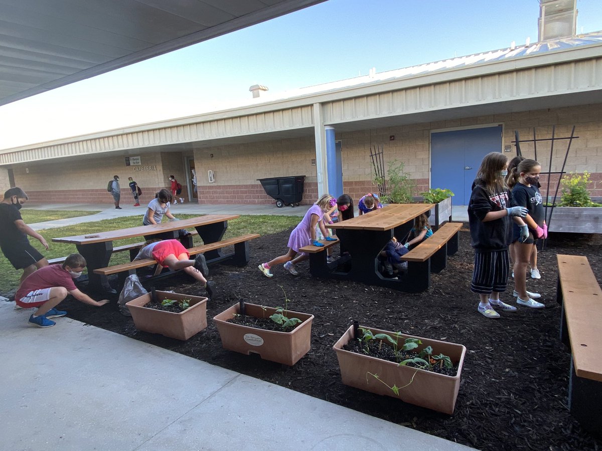 VME Second Grade tweet media