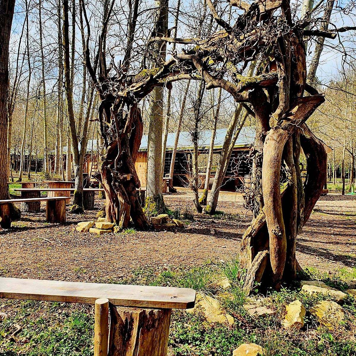 Our oak wedding arch catching the wonderful early afternoon sunshine today. If you are looking for a woodland wedding venue we do not think it gets more enchanted.
#weddingwood #woodlandweddings #buckinghamshirewedding #endeavourwoodlandwedding #enchantedforest