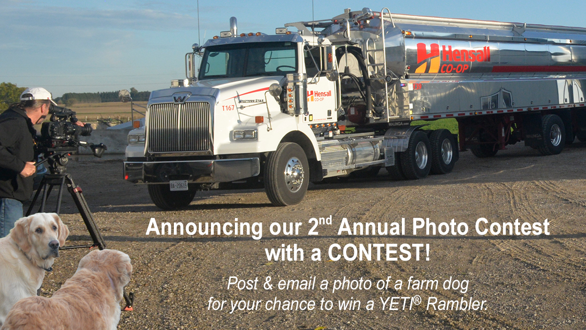 Announcing our 2nd Annual Photo Contest with a Contest!  

Post a photo of a farm dog AND email to marketing@hdc.on.ca.  

We'll randomly select a winner on April 15.  Winner receives a YETI Rambler.

Open to Hensall Co-op members, customers &amp; staff.

hensallco-op.ca/blog/preview.c…