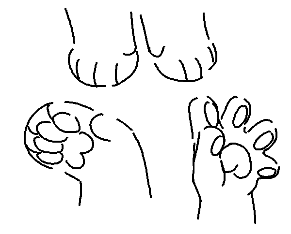 paws 