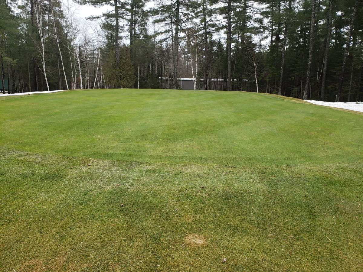 Thomas Breau tweet media