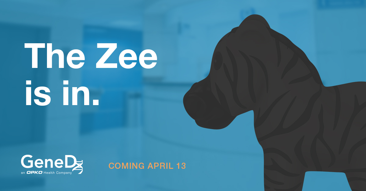 To celebrate #ACMGMtg21 kicking off next week, we’re giving away 5 vintage Zees!
Enter to win in 3 easy steps:
1️⃣Like this tweet
2️⃣Reshare this tweet
3️⃣Guess this year’s Zee theme below 👇
We’ll draw 5 winners at random on 4/12 and DM the good news. Zee you soon! #gcchat