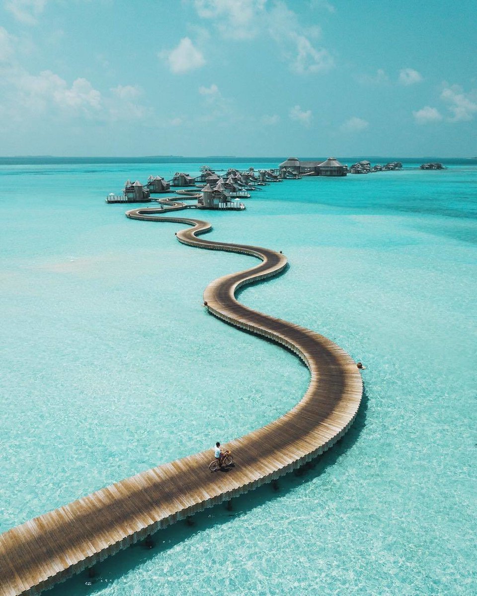 findrnr's tweet photo. Maldives 🇲🇻 https://t.co/gxGorAGOuQ