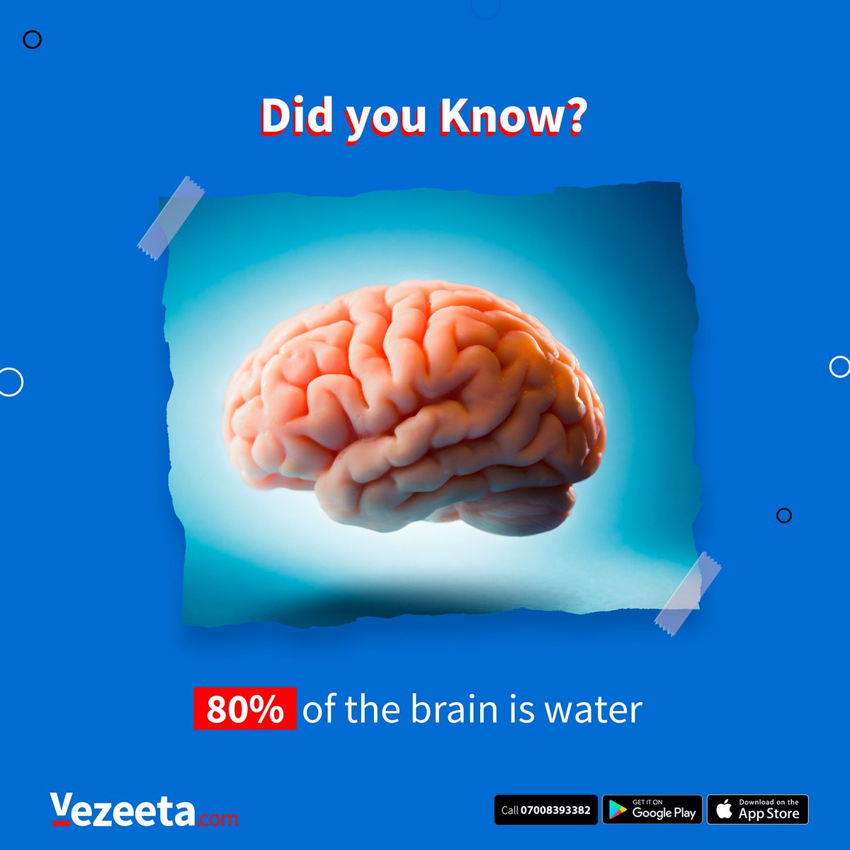 VezeetaNG's tweet photo. Staying Hydrated is critical to brain health. 80% of your brain consists of water !
So it’s very important to try to have at least 2 liters of water per day to maintain your overall health.

#VezeetaWellness https://t.co/Th3VY9epNG