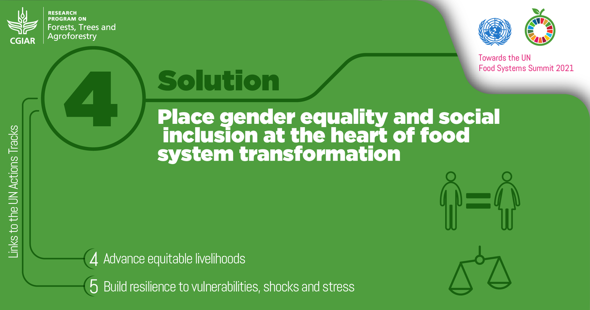 FTA_Partnership's tweet image. #GameChangingSolution #ForTheFuture of @FoodSystems # 4️⃣: Place gender equality🚻  &amp;amp; social inclusion✊ at the heart❤️ of food system transformation

These are the integral foundation for achieving sustainable food systems and all related #SDGs.
Read more: foreststreesagroforestry.org/11-game-changi…