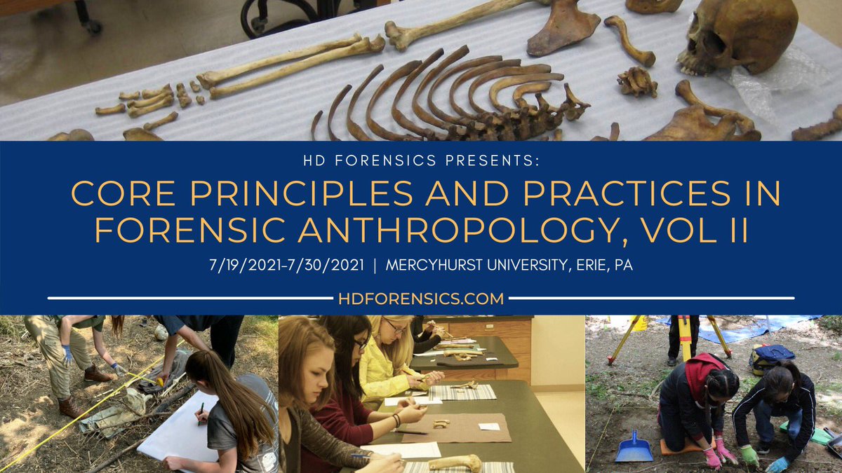 forensics_hd's tweet photo. HD Forensics will be offering four in-person courses this August, including Core Principles and Practices in Forensic Anthropology! Limited to 20 participants per course - register through our website https://t.co/yaoQ44ZoCJ #forensics #anthropology https://t.co/q9kq1UdgkP