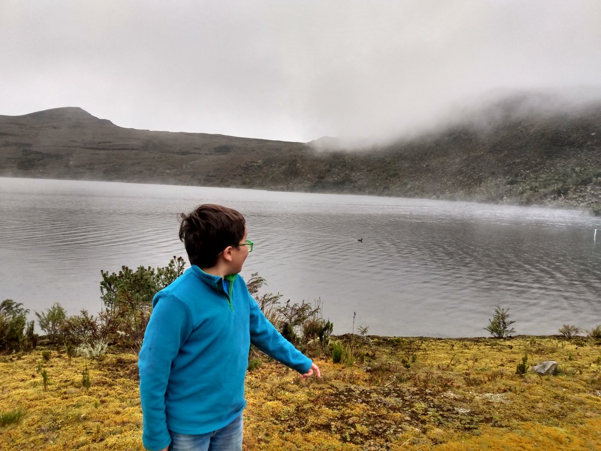 franciscoactiv2's tweet photo. Por la protección del agua que es lo más valioso que tenemos #SinBosqueNoHayPáramo

@Rodrigo_Lara_ @AABenedetti
@AngelicaLozanoC @velascoluisf @RoosveltRodri @RoyBarreras https://t.co/HPZckaVc3c