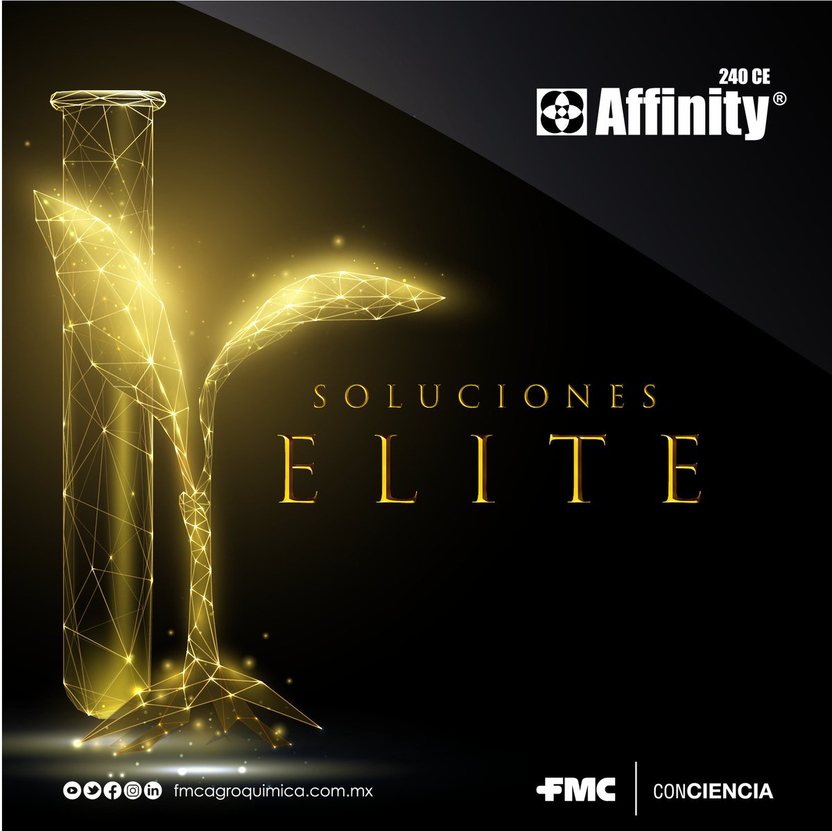 El compañero ideal de bajo riesgo para un rápido control se llama Affinity,😉 la #SoluciónElite que actúa por contacto con excelente acción post-emergente para el control de malezas de hoja ancha.🤠👍🌱