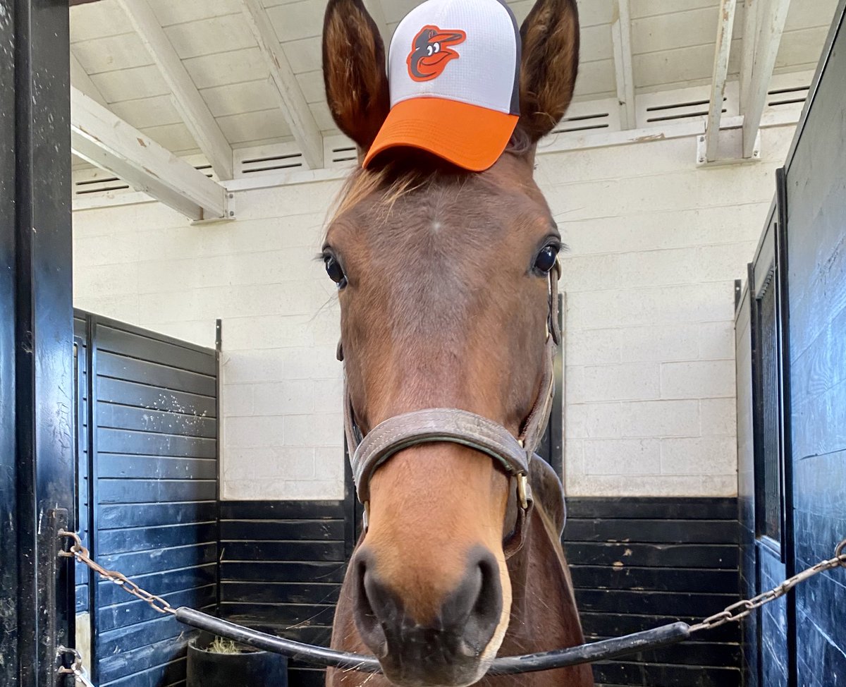 Happy #OpeningDay! Let’s go O’s! #Birdland <a href="/Orioles/">Baltimore Orioles</a>