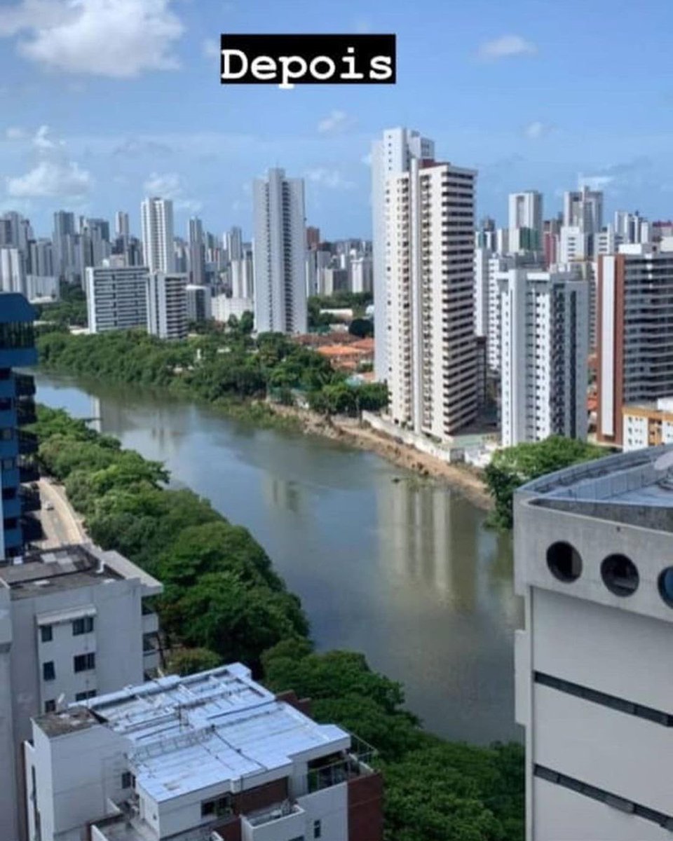 Alguém me explica o que porr*a tão fazendo na Beira Rio para desmatar uma parte do mangue assim? (Passe 👉🏼)

Deixe nos comentários se você souber de alguma informação!