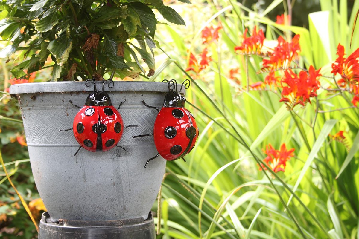 PrimusOfficial's tweet photo. Bored of plain pots? Just add a touch of colour and charm with our decorative pot hangers!
From bumble bees to butterflies and dragonflies to ladybirds, you can use these indoors as well as in the garden!
#pothanger #gardeninspiration #gardencentresupplier https://t.co/PKhfzwMXla