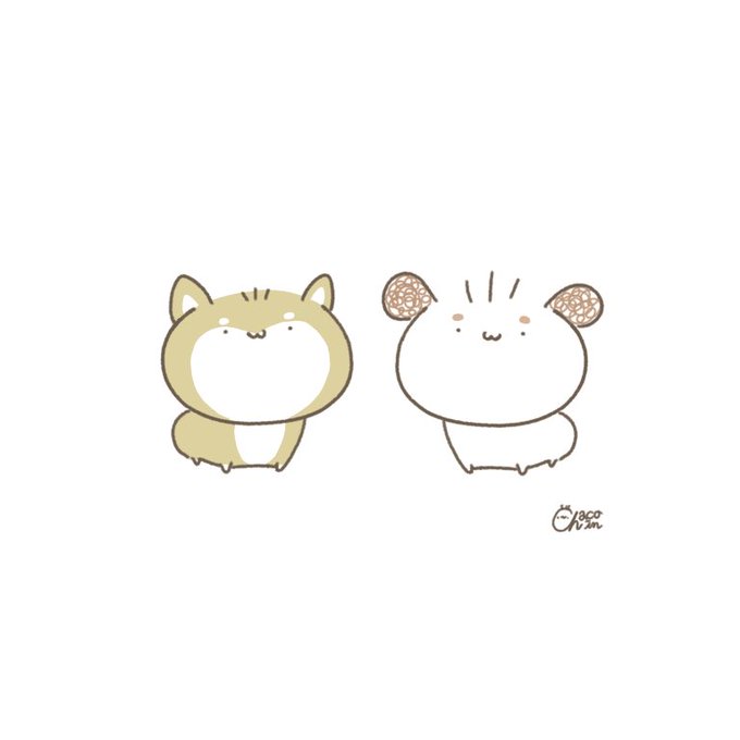 柴犬の日のtwitterイラスト検索結果 柴犬の日のtwitterイラスト検索結果