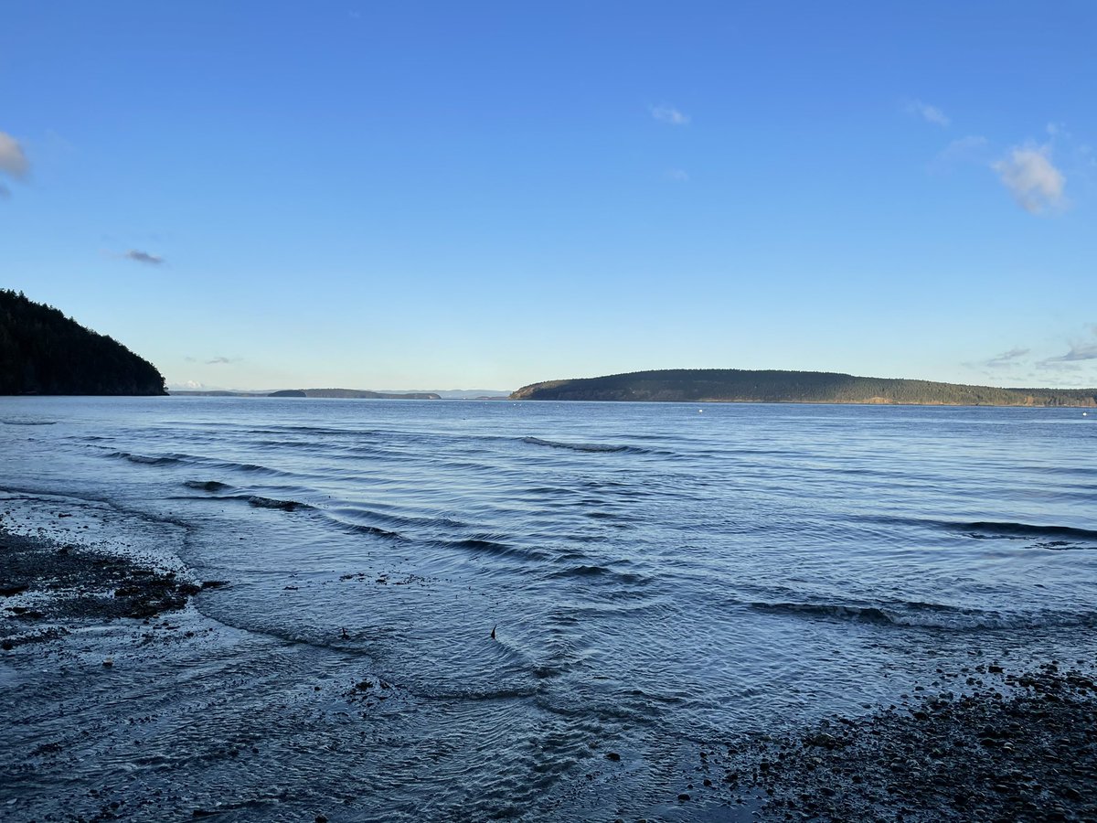 Charles Gallagher tweet media