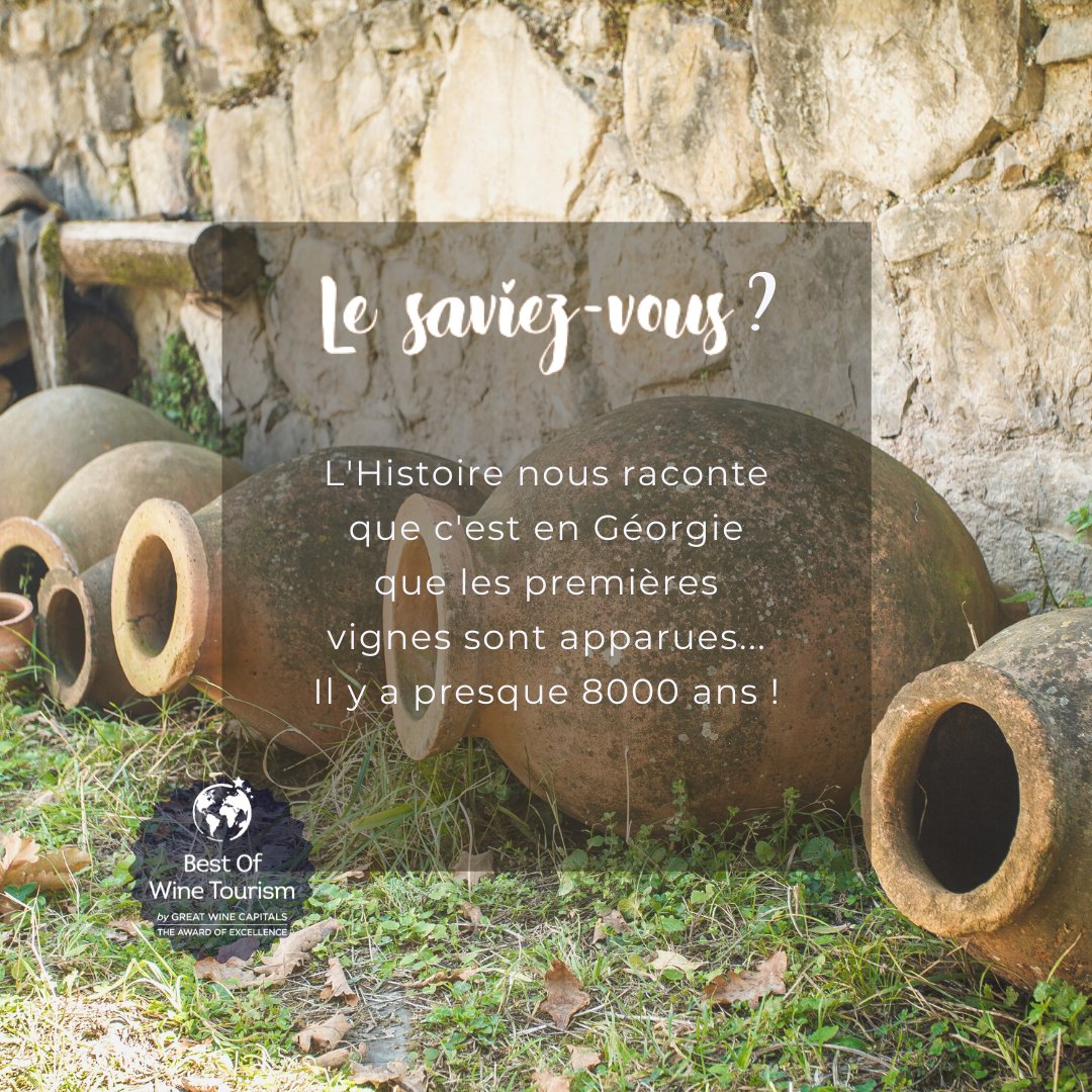 Best Of Wine Tourism | Bordeaux tweet media