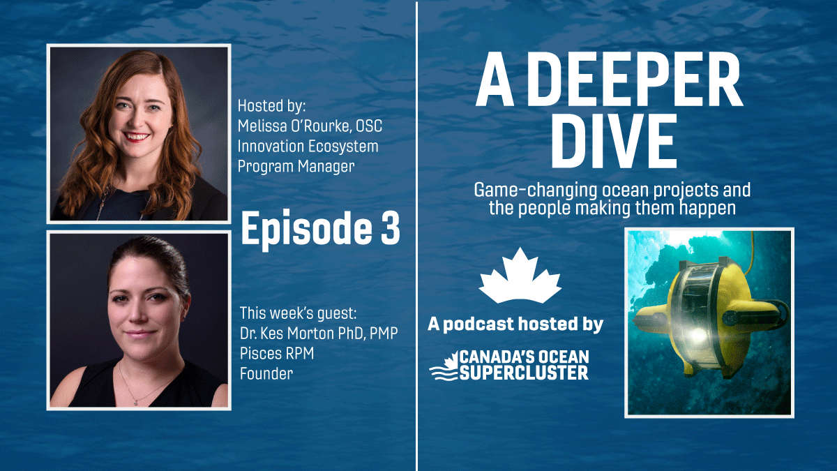 CanadaOSC's tweet photo. ๐๏ธEpisode 3 of "A Deeper Dive" is now streaming!
Hosted by OSC's Melissa O'Rourke (@mlzorourke), with guest @kesmorton of @PiscesRPM, this episode checks in on the latest with the Ocean Allies Project. Listen at:
https://t.co/Yj7LO9dpLY
#ADeeperDive #OceanNation https://t.co/CS319KT1kN