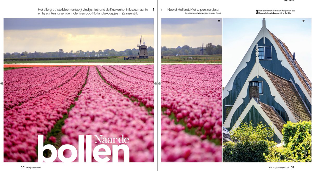 Het grootste bloementapijt ter wereld vind je niet rond Lisse, maar in Noord-Holland! Ga komend weekend zelf kijken, of bekijk de prachtige foto's van deze reportage in Plus Magazine.