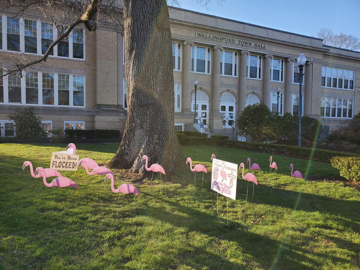 projectgradwlfd's tweet photo. Watch out Wallingford!!!😵
🦩🦩The Flocking has begun🦩🦩

If you have any questions please feel free to shoot us a message!!! https://t.co/8eCJiBm1wq