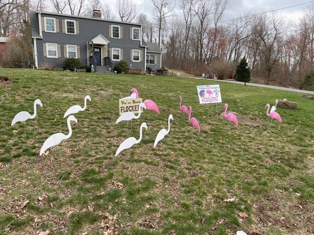 projectgradwlfd's tweet photo. Watch out Wallingford!!!😵
🦩🦩The Flocking has begun🦩🦩

If you have any questions please feel free to shoot us a message!!! https://t.co/8eCJiBm1wq