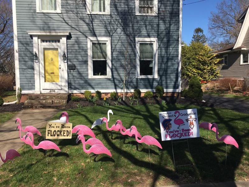 projectgradwlfd's tweet photo. Watch out Wallingford!!!😵
🦩🦩The Flocking has begun🦩🦩

If you have any questions please feel free to shoot us a message!!! https://t.co/8eCJiBm1wq