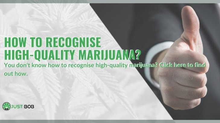 JustBobShop's tweet photo. How do you do to recognise high-quality #Marijuana?
#JustBob #cbd #cbdoil #legalhash #hashish #cbdhash #cbd #cbdonlineshop #buycbdhash #buylegalhash #cbdhashonline #legalhashonline #thcfreehttps://www.justbob.shop/how-recognise-high-quality-marijuana/ https://t.co/oinHCiLptq