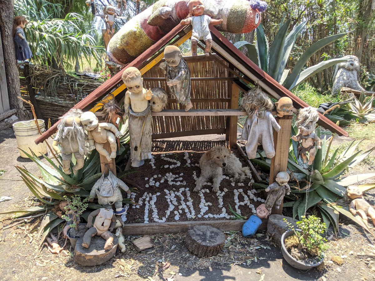 Well, Twitter is marking this a sensitive content, but skip to two minutes in for a doggy taking a nap inside a shrine of creepy dead dolls