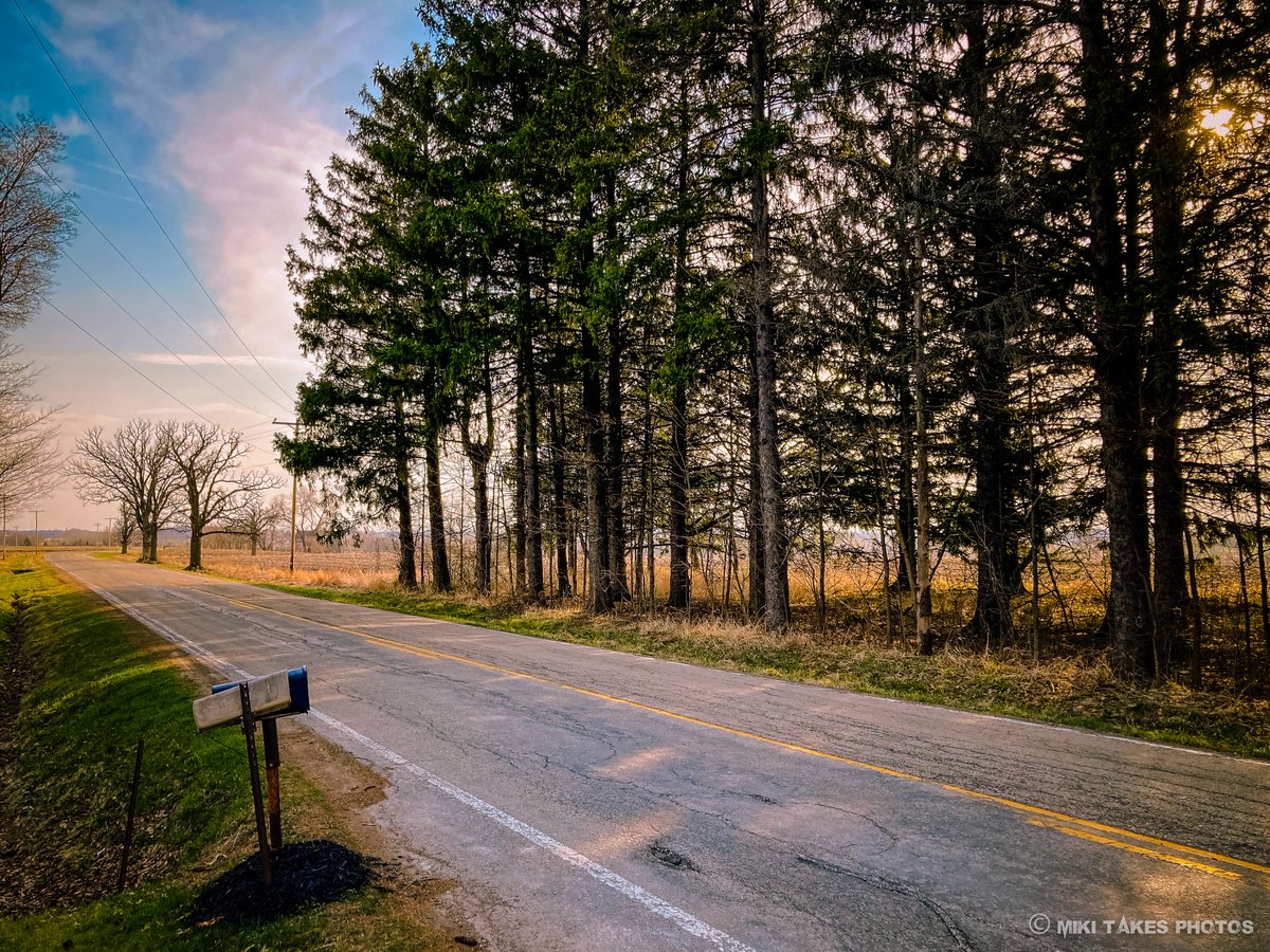 Miki Pope tweet media