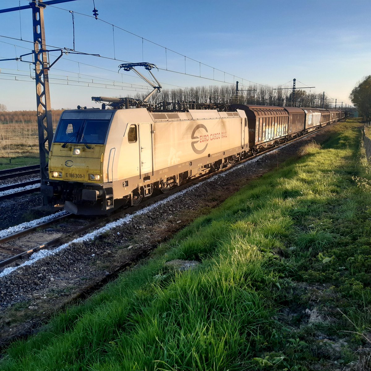 PompierDuRail's tweet photo. #Railnet @DB_Cargo @Euro_Cargo_Rail Perpignan-Mannheim. 13 wagons, 277m, 489 tonnes. Un TER pour les 4,2 MW sous 1500V et 5,6 MW sour 25 kV de la Traxx. https://t.co/y17GBGRBz6